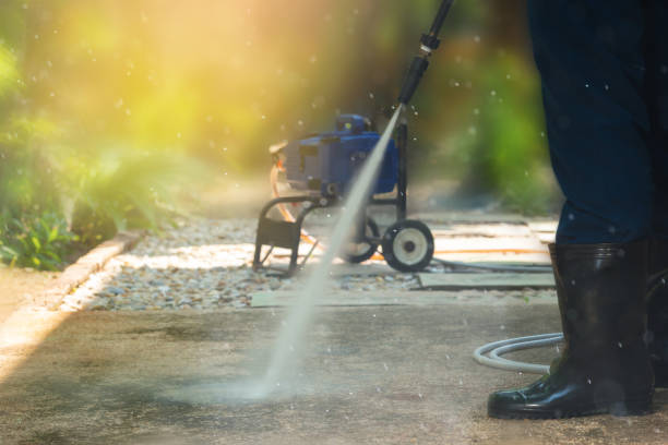 Best Animal Enclosure Cleaning  in Portsmouth, OH